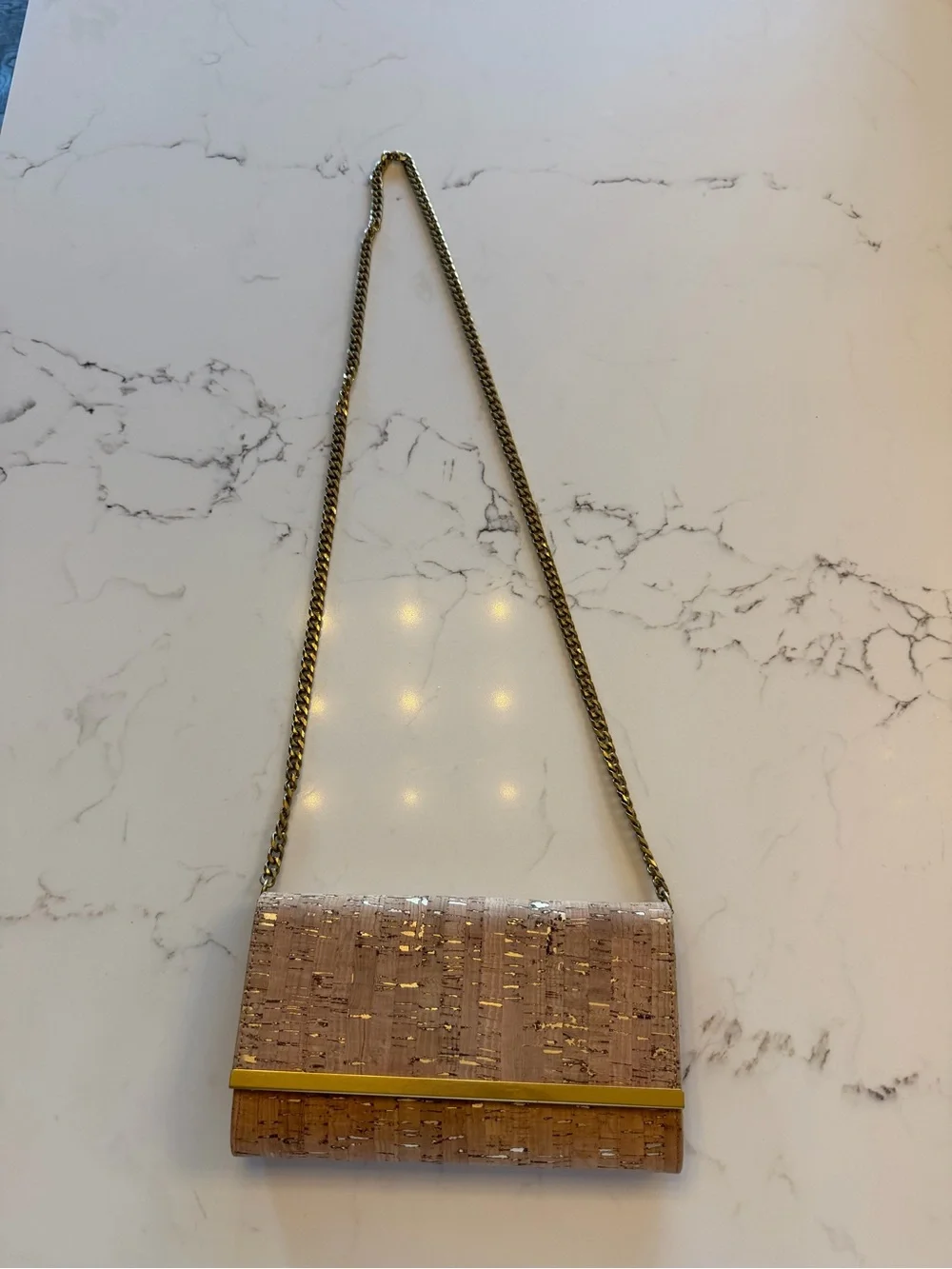 JCrew purse/clutch with gold chain